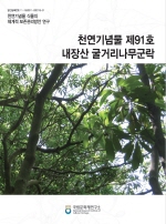 (천연기념물 식물의 체계적 보존관리방안 연구) 천연기념물 내장산 굴거리나무군락